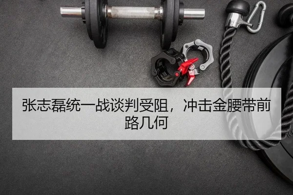 zhang-zhi-lei-tong-yi-zhan-tan-pan-shou-zu-chong-ji-jin-yao-dai-qian-lu-ji-he-2-111.jpg